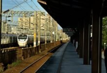 professional online hub 912784568